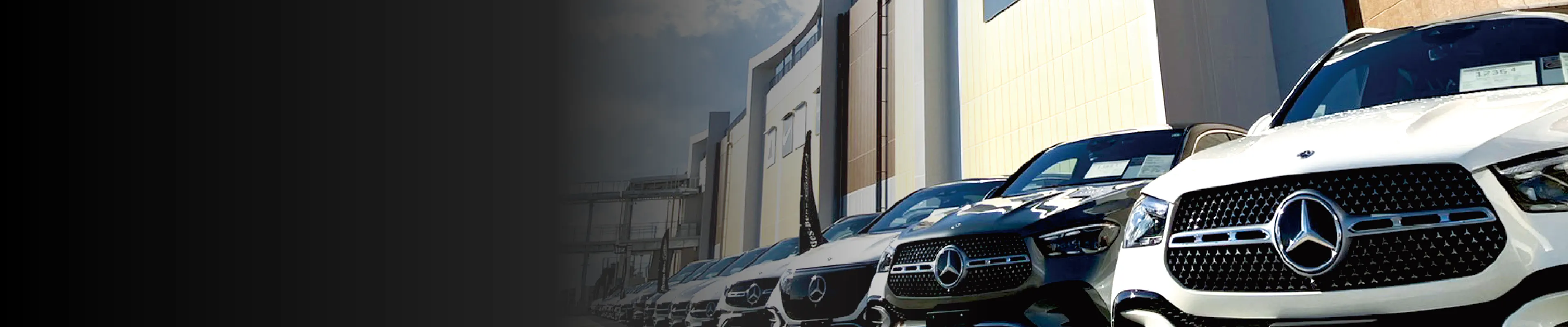 並んだ認定中古車